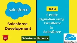 Day 30 Create Pagination using Visualforce in Salesforce || Salesforce Network