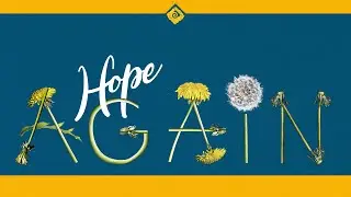 Hope Again