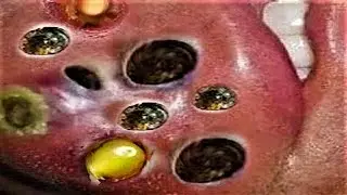 منعش طوال اليوم مع ناسا 21142