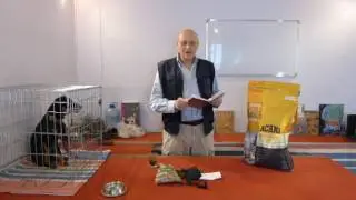Дрессировка ягдтерьера Шера. Анонс