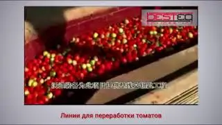 Линия переработки томатов