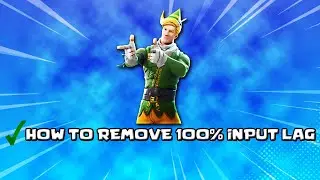 How TO REMOVE 100% INPUT LAG in 2 Minutes!