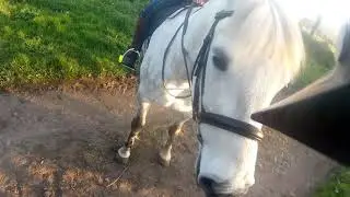 Friendly Horse Rider on Dartmoor
