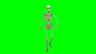 Skeleton Dance green screen HD