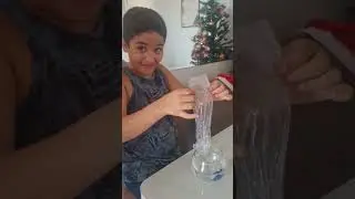 quase matei o bicho kkkkkk🤣