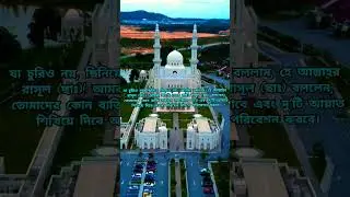 এই আয়াত দু’টি উটের চেয়ে উত্তম #shorts