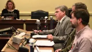Great Citizen Explaining Gun Bills To Delegates