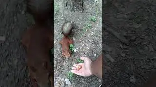 Это любовь