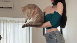 小猫猫🐱🐱