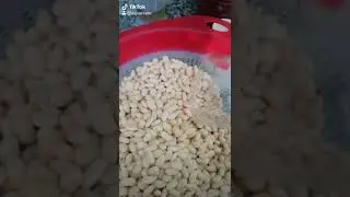 Düdüklüde kuru fasulye
