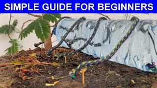 Plastic Bottle Life Hacks: DIY Drip Irrigation for Thriving Plants -Simple, Ingenious, andLow-Cost!