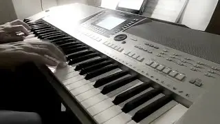 Adele - Hello (PSR S710)