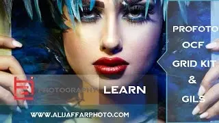 Profoto OCF Grid Kit & Gils