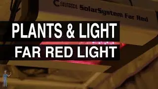 Far Red Light : Plants & Light #107