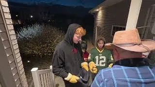 Halloween 2024
