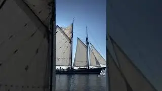 The Beautiful Bluenose II Schooner