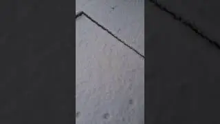25 февраля 2023 г.