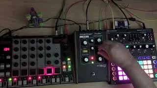 Rhythm Wolf thru Moog Freqbox & Circuit Mono Station (Transversent Waves)