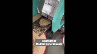 Single layer tea color sorter with leaf feeding conveyor