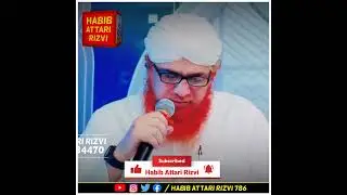 Jism Se Badbu Aati Ho To Masjid Mein Jana Kaisa Hai 🤔 | Maulana Ilyas Qadri ❤️ #shorts #viral #fyp