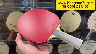 Vợt bóng bàn thuần gỗ cho lối đánh cơ bản #AndroTimber7Offs #Rakza7 #Rakza7Soft #votbbthuango