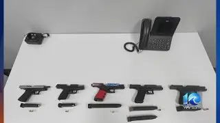 VB Police seize 5 illegal guns during traffic stop