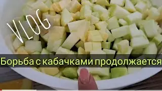 ТЕПЕРЬ я знаю КУДА ДЕТЬ КАБАЧКИ,спасибо подписчикам ЗА СОВЕТ❤❤моя УНИВЕРСАЛЬНАЯ ПРИПРАВА для всего👌