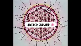 Цветок Жизни. Сакральная геометрия с Нейрографикой.