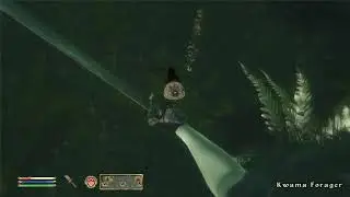 Morroblivion 4 Death of a Taxman