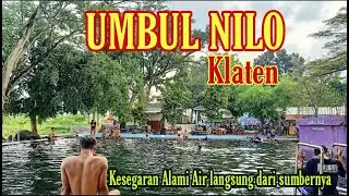 UMBUL NILO KLATEN : Kesegaran alami air langsung dari sumbernya
