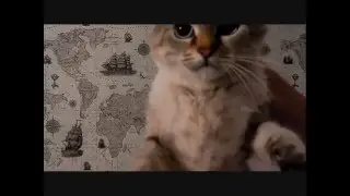 С Днём Рождения