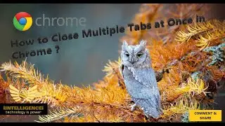 How to Close Multiple Tabs at Once in Chrome | Close all Tabs Shortcut | Tricks in Chrome | Chrome