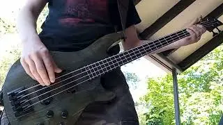 "Alestorm" Alestorm bass cover