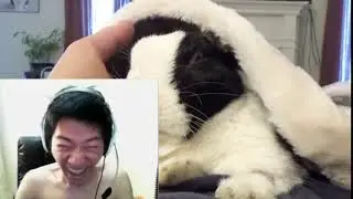 korean guy reacts to horrible truth