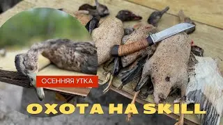 ОХОТА НА SKILL
