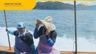 Noona-Dongsaeng Moment From Park Jun Myun & Dex | Fresh Off the Sea EP 7 | Viu [ENG SUB]