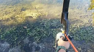 Bowfishing For Bullseye SNAKEHEADS!