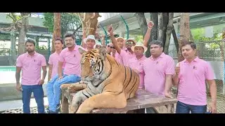 SSRAM KE TIGERS KE TIGERS TIGER KE SAATH KHELTE HUE 13/06/2022 #SSRAM #thailand #bankok #pattya