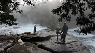Exploring Comox Valley: Nature, History, and Local Charm On BC's Vancouver Island