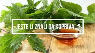 kopriva-zanimljivosti o ovoj ljekovitoj biljci koje niste znali