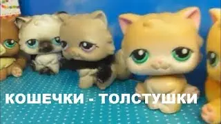LPS: КОШЕЧКИ - ТОЛСТУШКИ