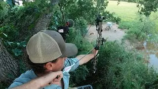 BEAST BROADHEAD VS.  WILD HOG!