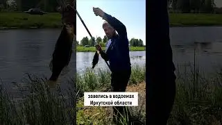 Ротан - гигант!  #рыбалка