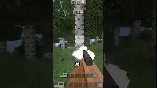 I tried this gun Addon (AGAIN) 