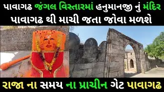 પાવાગઢ જંગલ વિસ્તારમાં હનુમાનજી નું મંદિર | Pavagadh Hanuman ji Darshan | pavagadh 2023