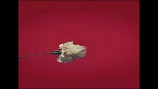 FREE ERYKAH BADU TYPE BEAT 