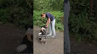 Dieser Hund kann Menschen aufspüren | Was macht ein Mantrailer?