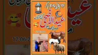 تم مسلمانوں کو عید الاضحی مبارک #duet #qurantranslation  #islamicvideo