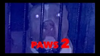 Paws 2