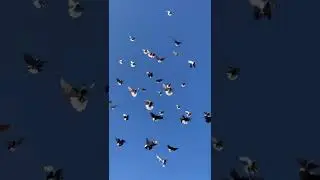 Ми за мирне небо. Ні війні.